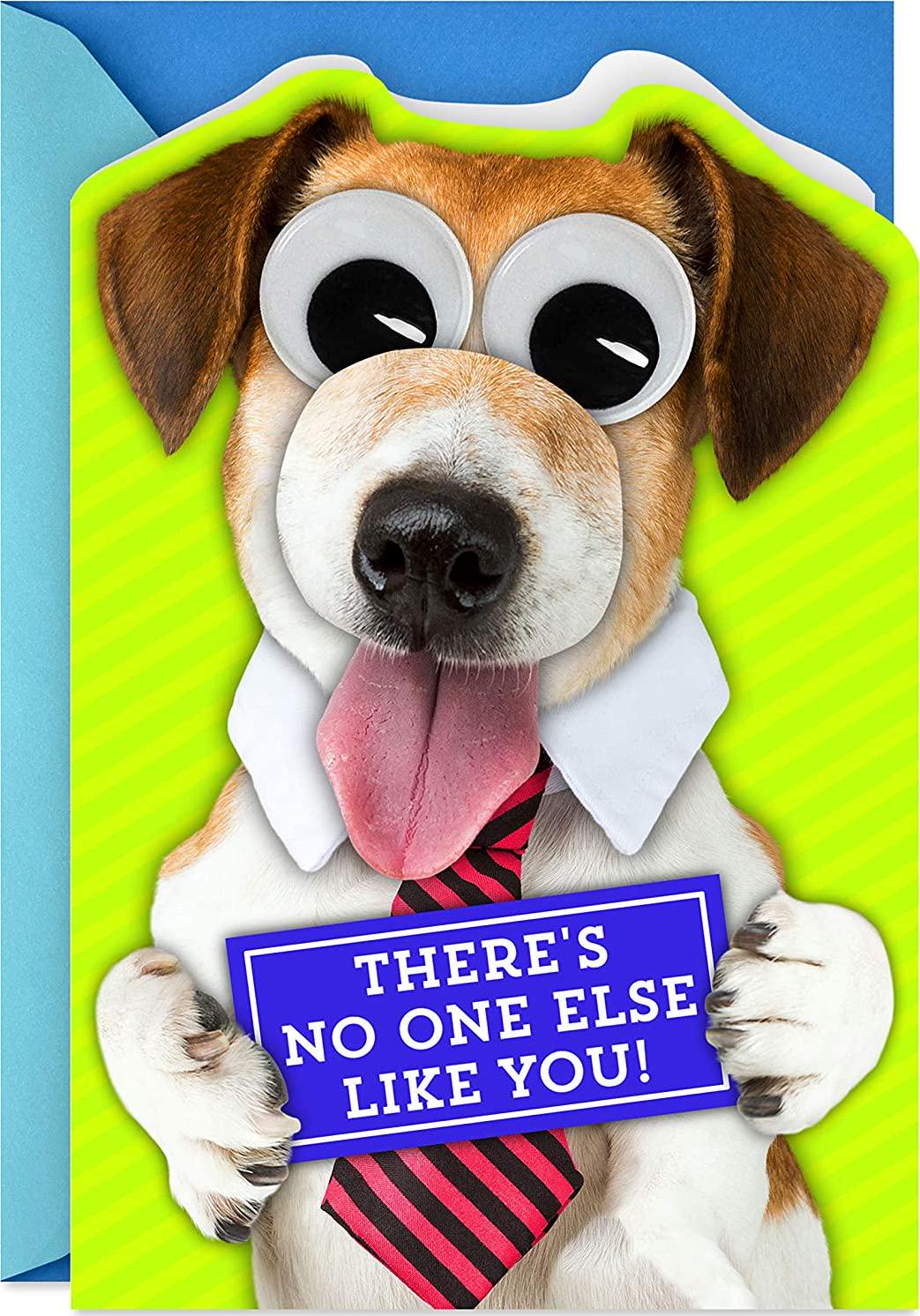 Hallmark, Hallmark Dog with Googly Eyes Cute Father's Day Greeting Card